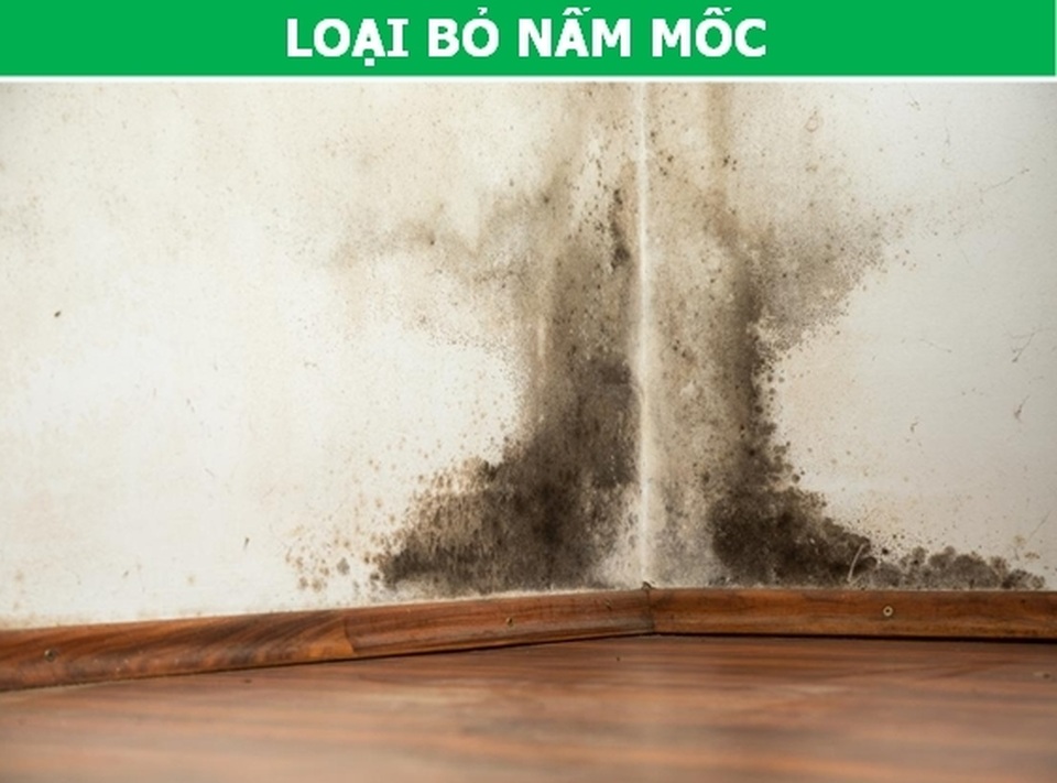 Cần biết: 5 ứng dụng tuyệt vời trong đời sống của than hoạt tính! - 5 Cần biết: 5 ứng dụng tuyệt vời trong đời sống của than hoạt tính! - 5