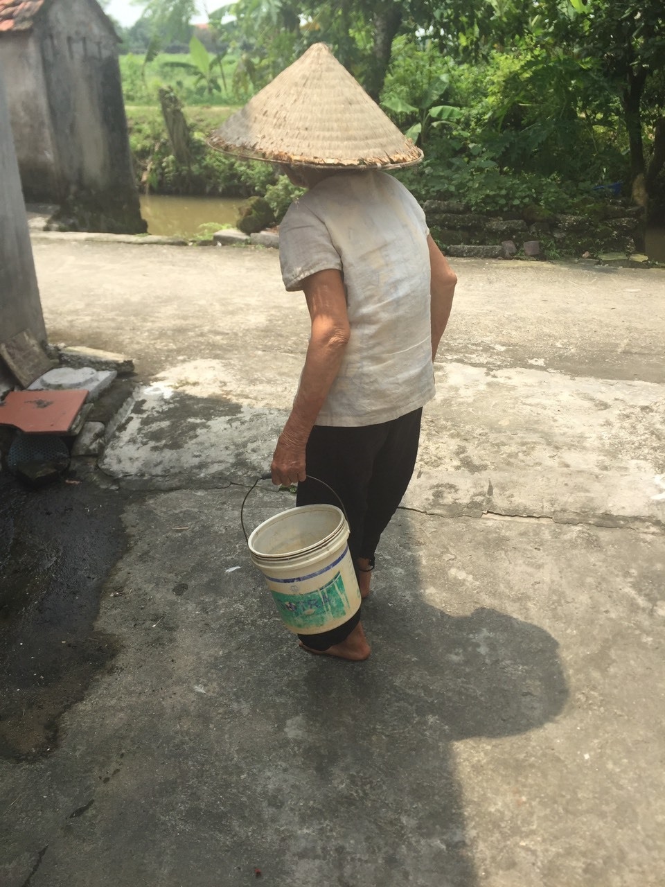 Nghẹn lòng cảnh cụ bà tuổi 80 đội nắng bắt cua nuôi con trai 2 lần thoát khỏi tử thần - 11 Nghẹn lòng cảnh cụ bà tuổi 80 đội nắng bắt cua nuôi con trai 2 lần thoát khỏi tử thần - 11