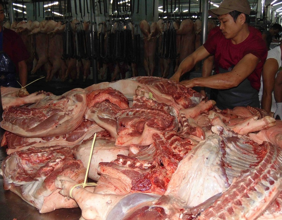 TPHCM: 13 triệu dân nguy cơ “đói” thịt trong vòng vây dịch tả lợn - 4 TPHCM: 13 triệu dân nguy cơ “đói” thịt trong vòng vây dịch tả lợn - 4