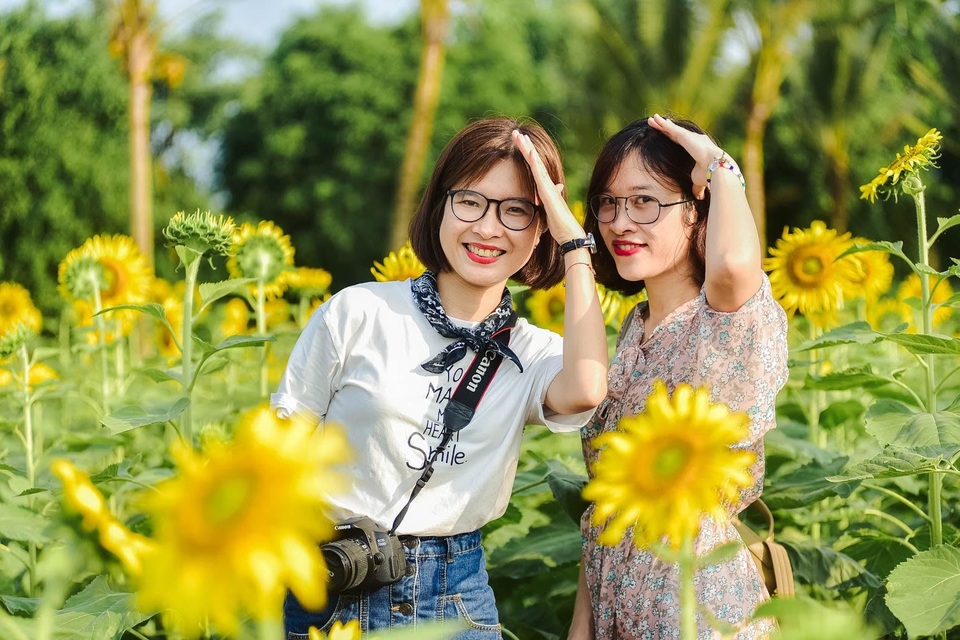 “Phát sốt” với cánh đồng hoa hướng dương đẹp ngất ngây ngay gần Hà Nội - 10 “Phát sốt” với cánh đồng hoa hướng dương đẹp ngất ngây ngay gần Hà Nội - 10