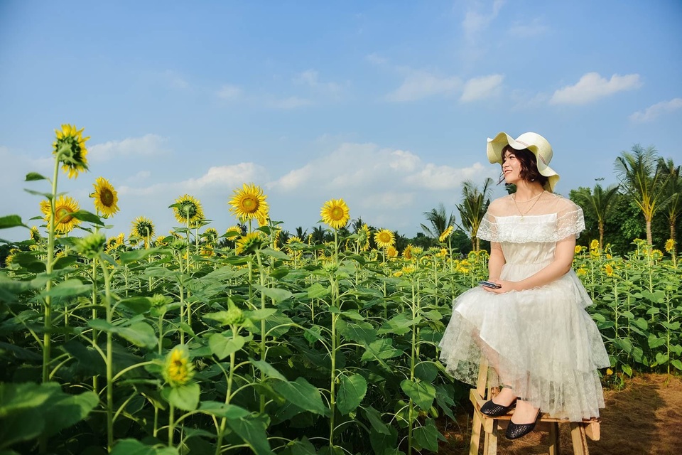 “Phát sốt” với cánh đồng hoa hướng dương đẹp ngất ngây ngay gần Hà Nội - 9 “Phát sốt” với cánh đồng hoa hướng dương đẹp ngất ngây ngay gần Hà Nội - 9