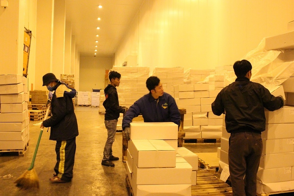 TPHCM: 13 triệu dân nguy cơ “đói” thịt trong vòng vây dịch tả lợn - 5 TPHCM: 13 triệu dân nguy cơ “đói” thịt trong vòng vây dịch tả lợn - 5