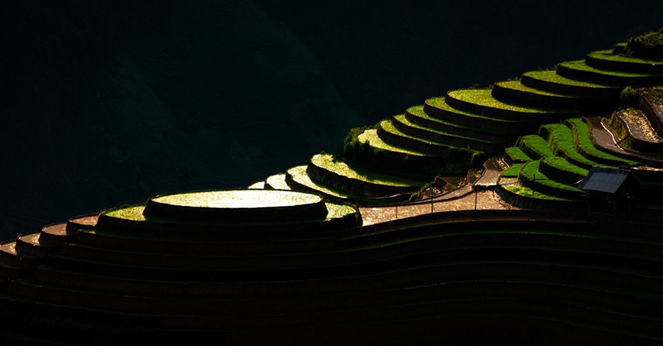 Ruộng bậc thang Mù Cang Chải mùa nước đổ qua góc máy của nghệ sỹ trẻ - 11