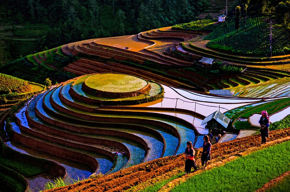 Ruộng bậc thang Mù Cang Chải mùa nước đổ qua góc máy của nghệ sỹ trẻ - 2