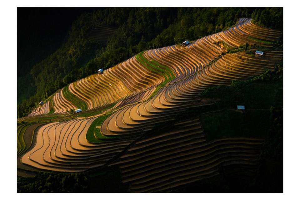 Ruộng bậc thang Mù Cang Chải mùa nước đổ qua góc máy của nghệ sỹ trẻ - 4