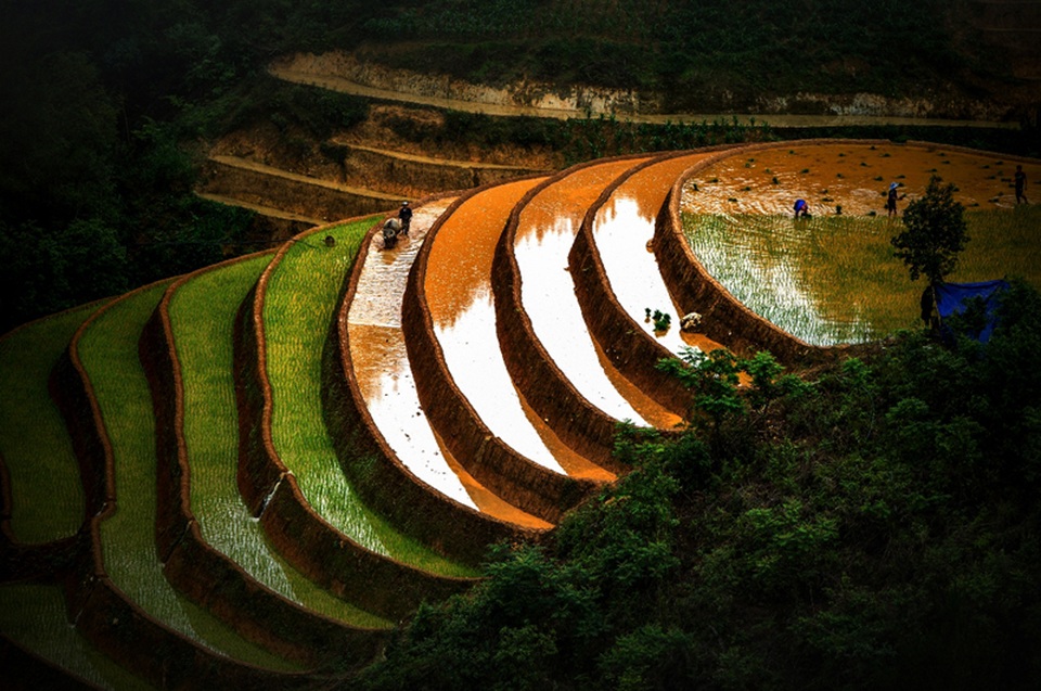 Ruộng bậc thang Mù Cang Chải mùa nước đổ qua góc máy của nghệ sỹ trẻ - 7