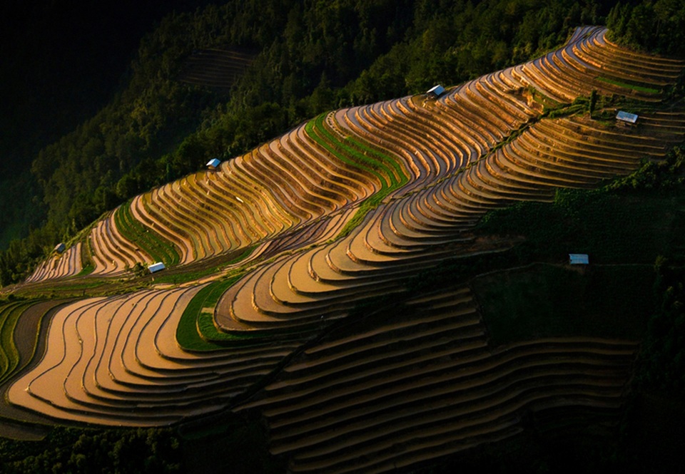 Ruộng bậc thang Mù Cang Chải mùa nước đổ qua góc máy của nghệ sỹ trẻ - 8