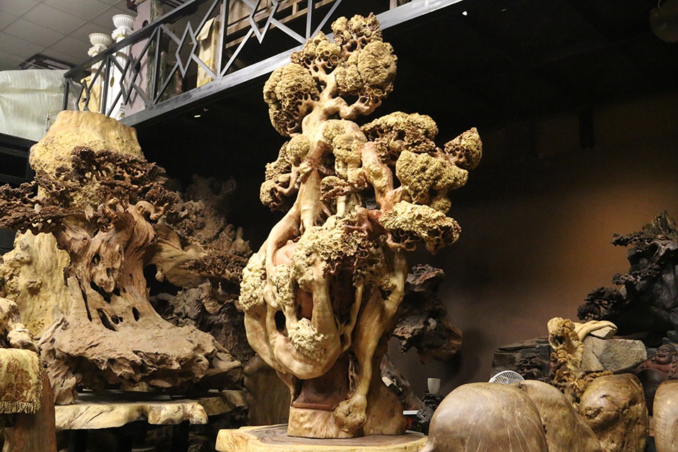 Siêu phẩm “mai cổ” từ gỗ nu quý hiếm giá bạc tỷ của dân chơi Hà Nội - 1