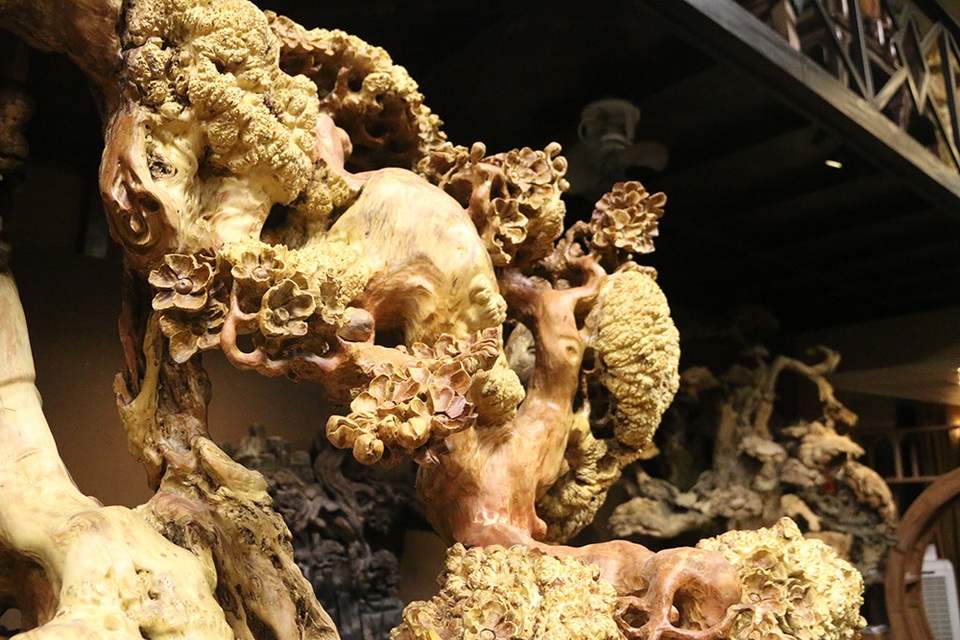 Siêu phẩm “mai cổ” từ gỗ nu quý hiếm giá bạc tỷ của dân chơi Hà Nội - 2