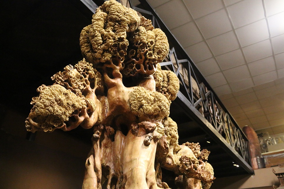 Siêu phẩm “mai cổ” từ gỗ nu quý hiếm giá bạc tỷ của dân chơi Hà Nội - 4