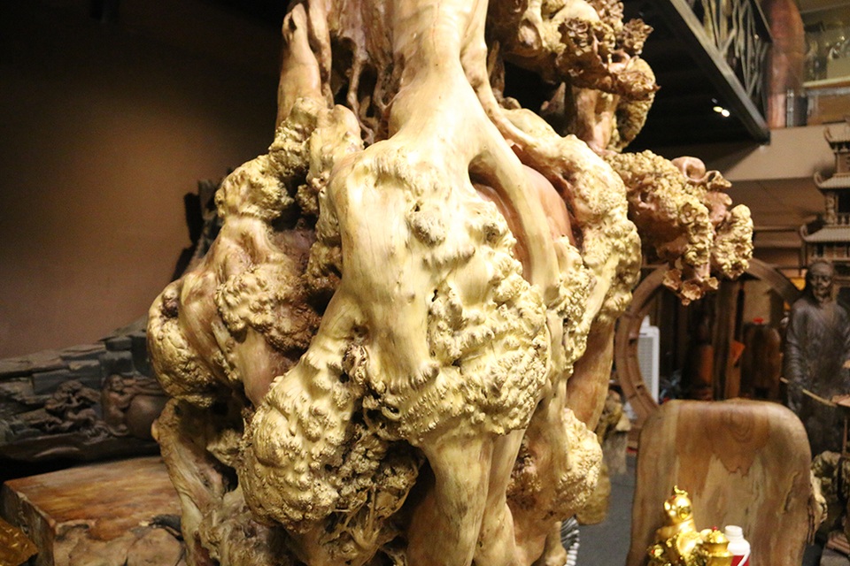 Siêu phẩm “mai cổ” từ gỗ nu quý hiếm giá bạc tỷ của dân chơi Hà Nội - 3