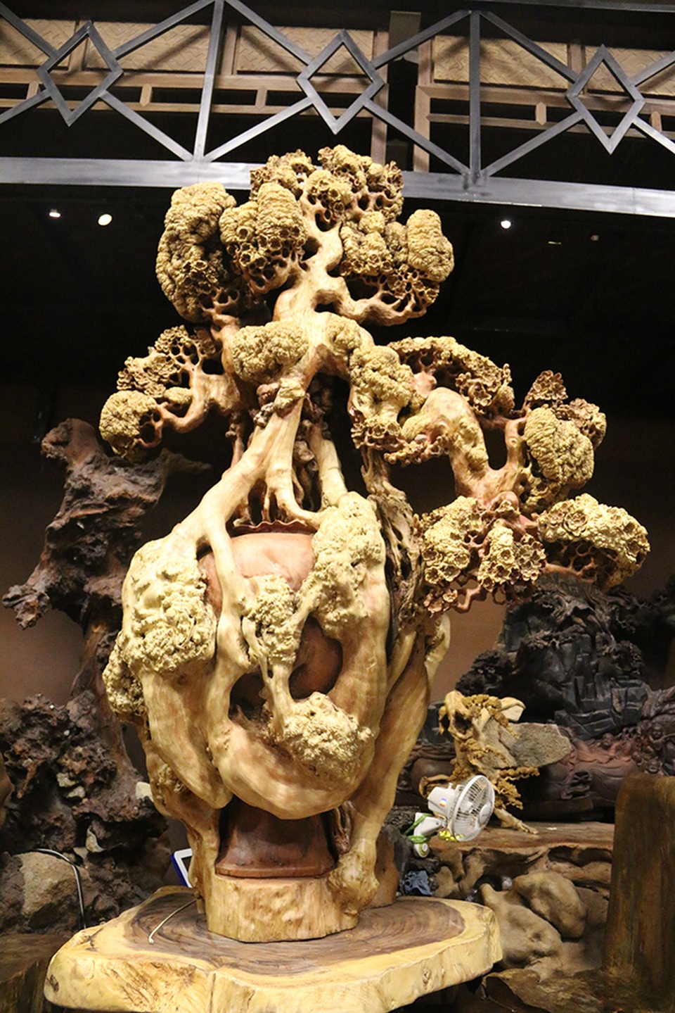 Siêu phẩm “mai cổ” từ gỗ nu quý hiếm giá bạc tỷ của dân chơi Hà Nội - 8