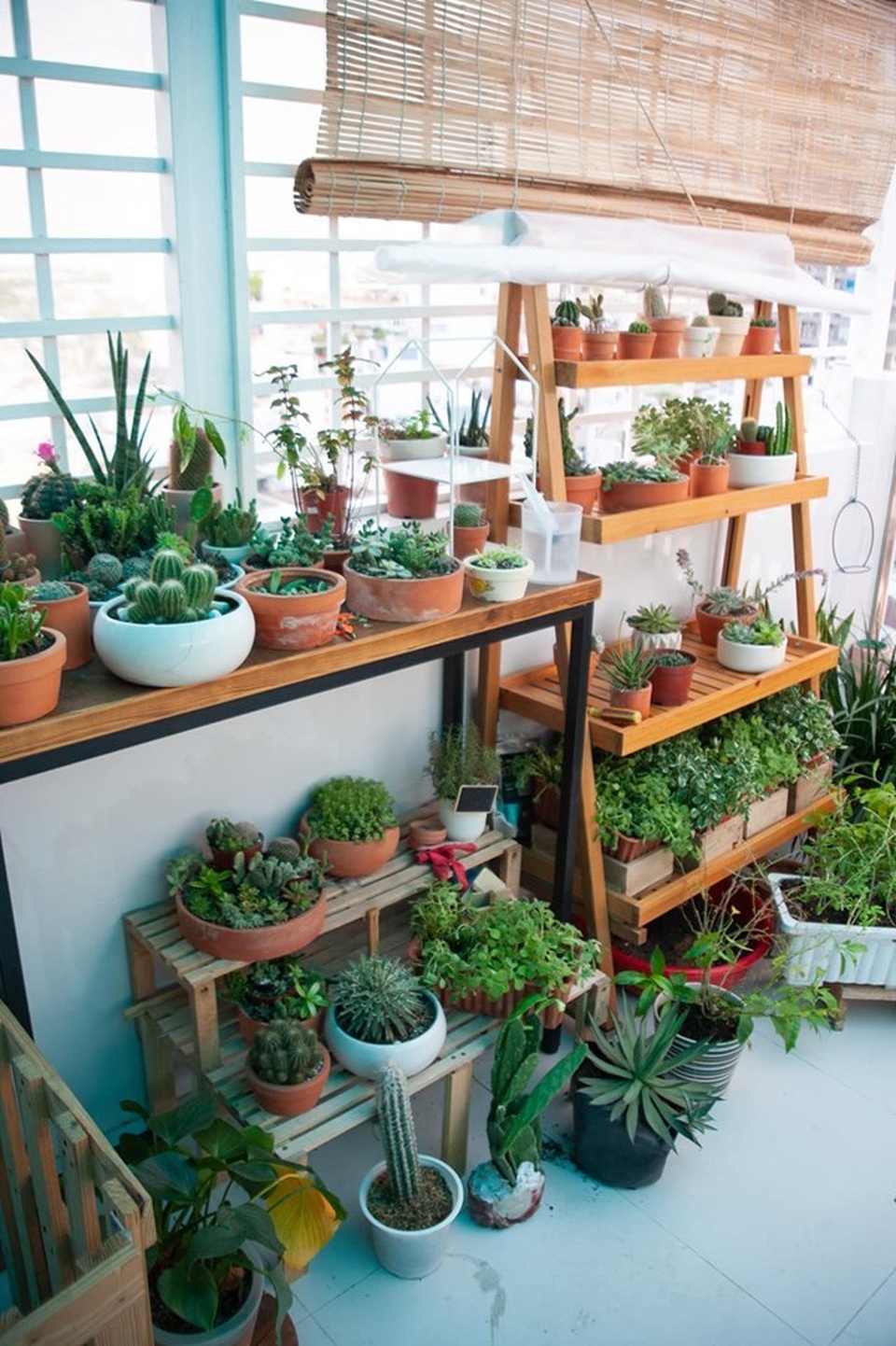 Không gian sống đẹp như mơ từ những chậu cây bỏ đi của Phương Vy Idol - 16 Không gian sống đẹp như mơ từ những chậu cây bỏ đi của Phương Vy Idol - 16