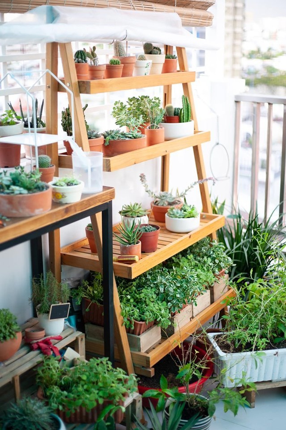 Không gian sống đẹp như mơ từ những chậu cây bỏ đi của Phương Vy Idol - 1 Không gian sống đẹp như mơ từ những chậu cây bỏ đi của Phương Vy Idol - 1