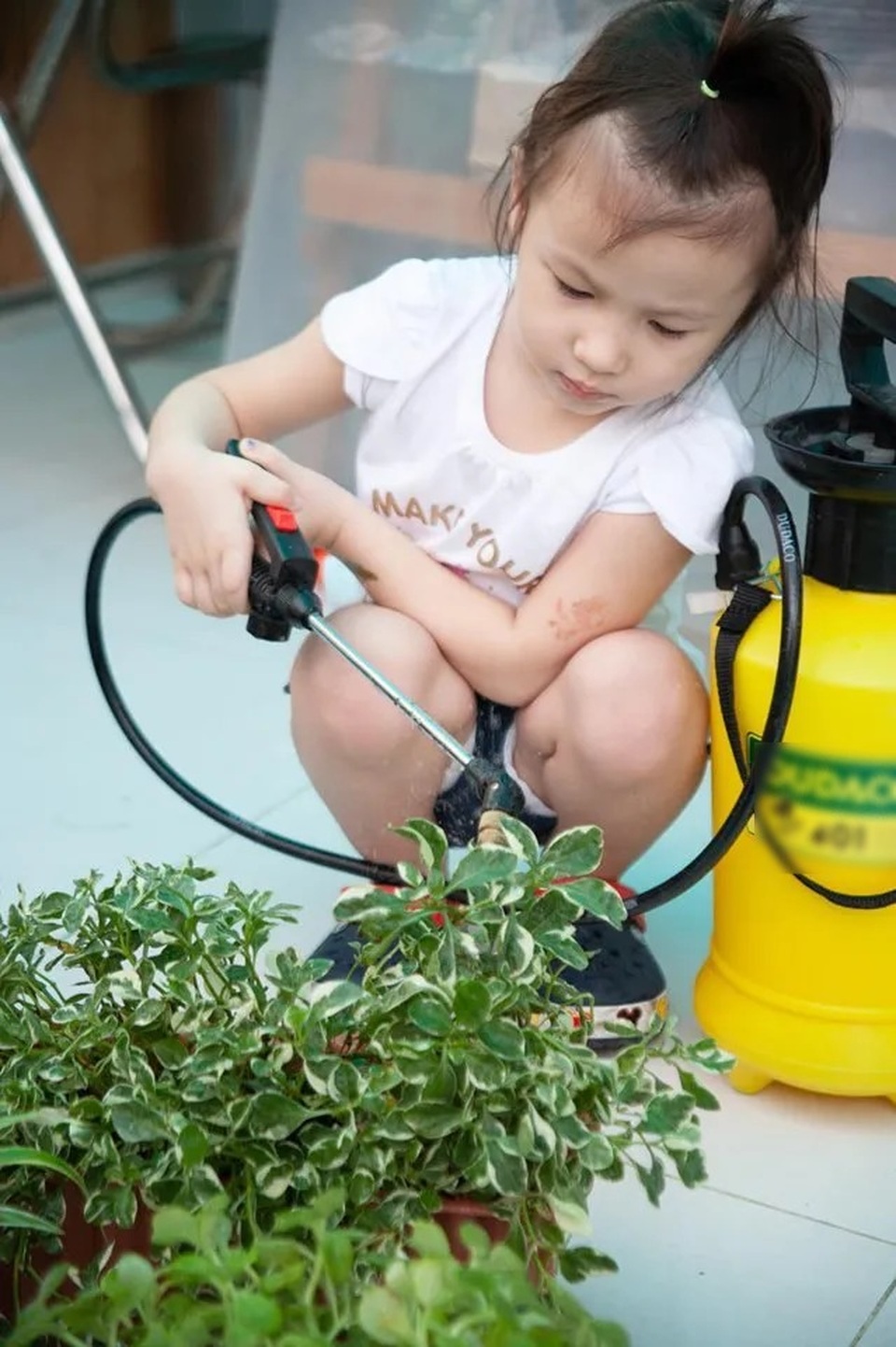 Không gian sống đẹp như mơ từ những chậu cây bỏ đi của Phương Vy Idol - 11 Không gian sống đẹp như mơ từ những chậu cây bỏ đi của Phương Vy Idol - 11