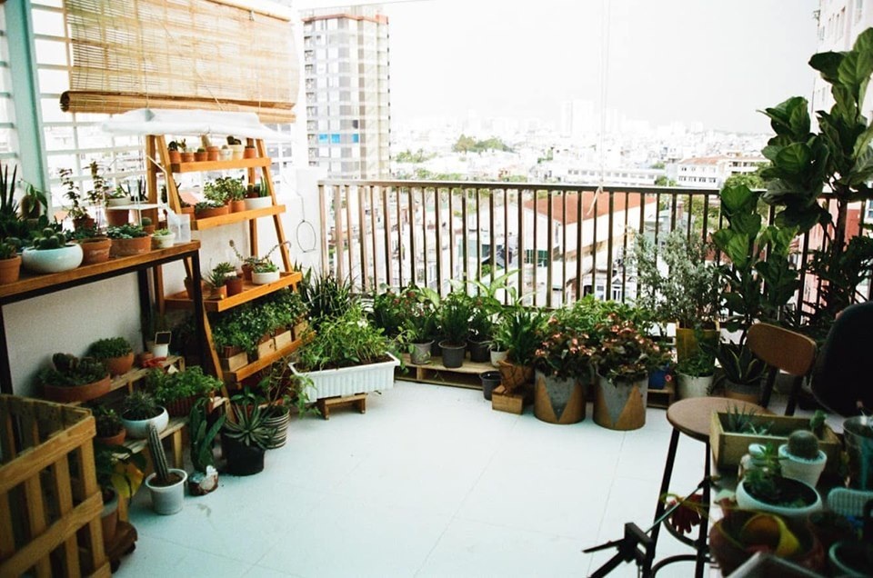 Không gian sống đẹp như mơ từ những chậu cây bỏ đi của Phương Vy Idol - 2 Không gian sống đẹp như mơ từ những chậu cây bỏ đi của Phương Vy Idol - 2
