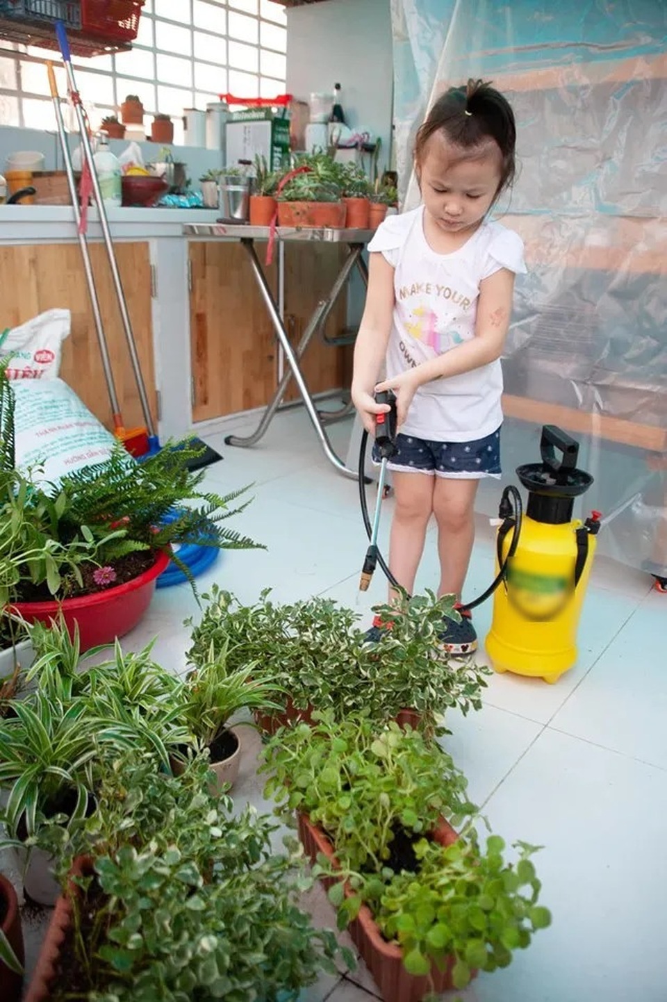 Không gian sống đẹp như mơ từ những chậu cây bỏ đi của Phương Vy Idol - 12 Không gian sống đẹp như mơ từ những chậu cây bỏ đi của Phương Vy Idol - 12