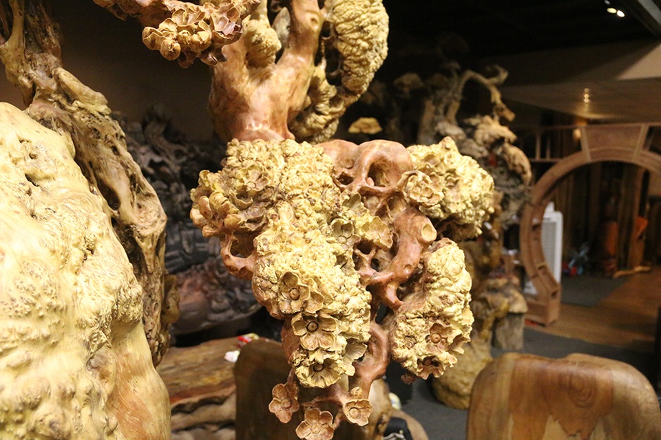 Siêu phẩm “mai cổ” từ gỗ nu quý hiếm giá bạc tỷ của dân chơi Hà Nội - 6