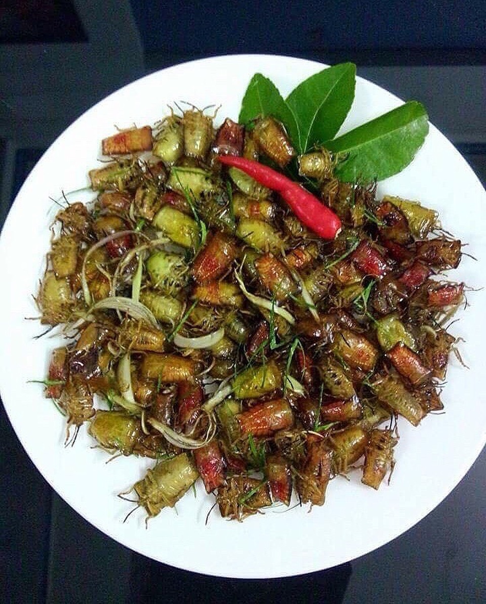 Bọ xít non mùi hôi đáng sợ: Đắt hơn bò Mỹ, rang ăn cả cân - 2