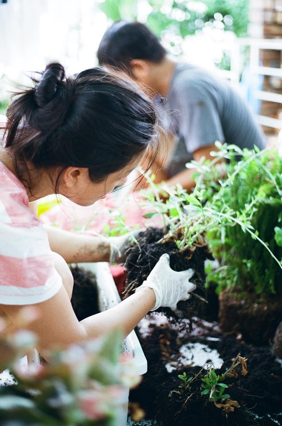 Không gian sống đẹp như mơ từ những chậu cây bỏ đi của Phương Vy Idol - 6 Không gian sống đẹp như mơ từ những chậu cây bỏ đi của Phương Vy Idol - 6
