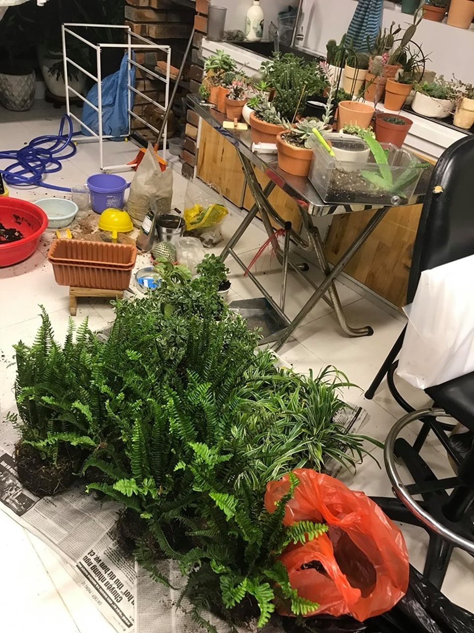 Không gian sống đẹp như mơ từ những chậu cây bỏ đi của Phương Vy Idol - 4 Không gian sống đẹp như mơ từ những chậu cây bỏ đi của Phương Vy Idol - 4