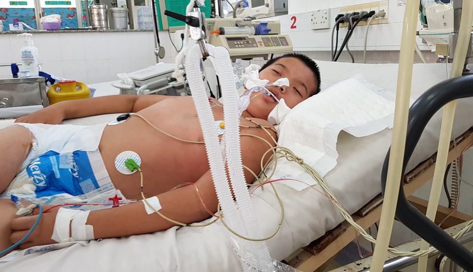 Nhiều ca mắc viên não Nhật Bản, bác sĩ cảnh báo nguy hiểm - 3 Nhiều ca mắc viên não Nhật Bản, bác sĩ cảnh báo nguy hiểm - 3