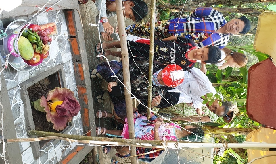 Tin bông hoa lạ là hoa thần, hàng trăm người đến xì xụp cúng bái - 7 Tin bông hoa lạ là hoa thần, hàng trăm người đến xì xụp cúng bái - 7