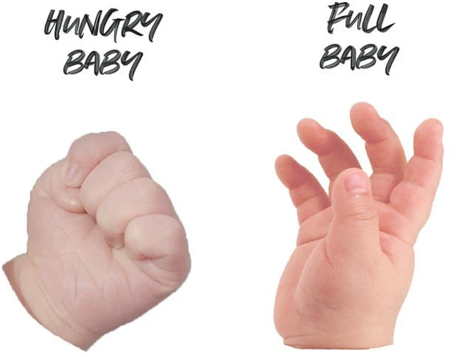 Bé sơ sinh nói “con đói”, “con no”, “con muốn chơi” với bạn như thế nào? - 1 Bé sơ sinh nói “con đói”, “con no”, “con muốn chơi” với bạn như thế nào? - 1