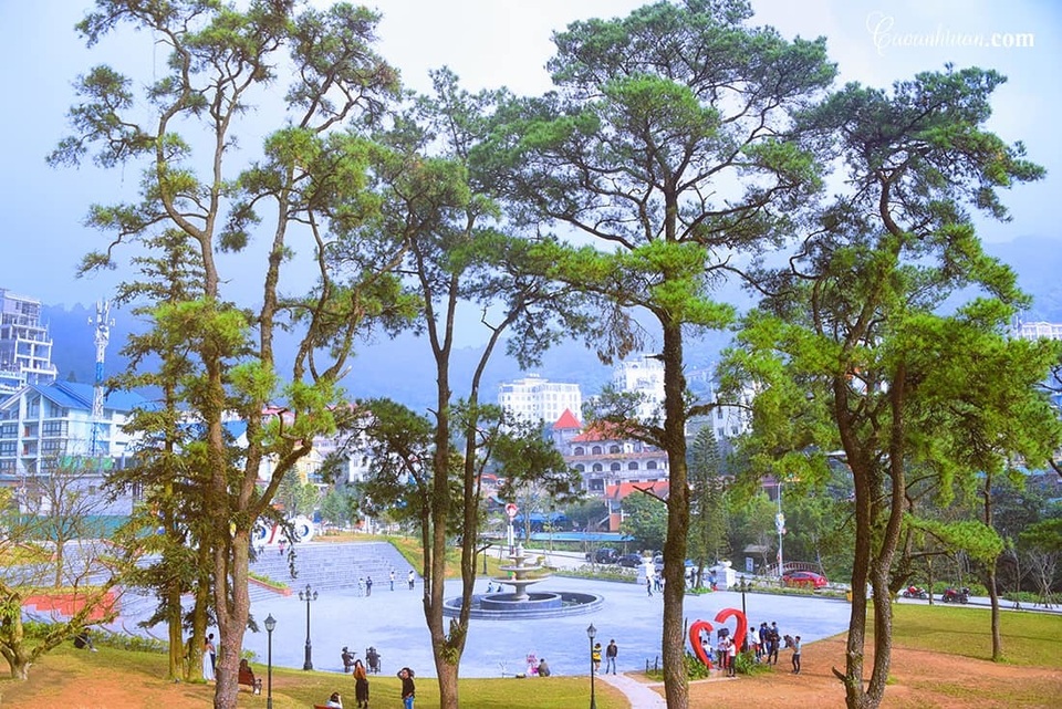 Rủ nhau lên Tam Đảo “giải nhiệt” giữa ngày hè nắng 40 độ C - 3 Rủ nhau lên Tam Đảo “giải nhiệt” giữa ngày hè nắng 40 độ C - 3