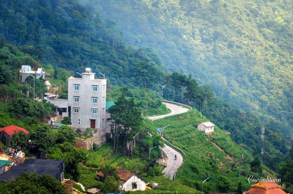 Rủ nhau lên Tam Đảo “giải nhiệt” giữa ngày hè nắng 40 độ C - 5 Rủ nhau lên Tam Đảo “giải nhiệt” giữa ngày hè nắng 40 độ C - 5