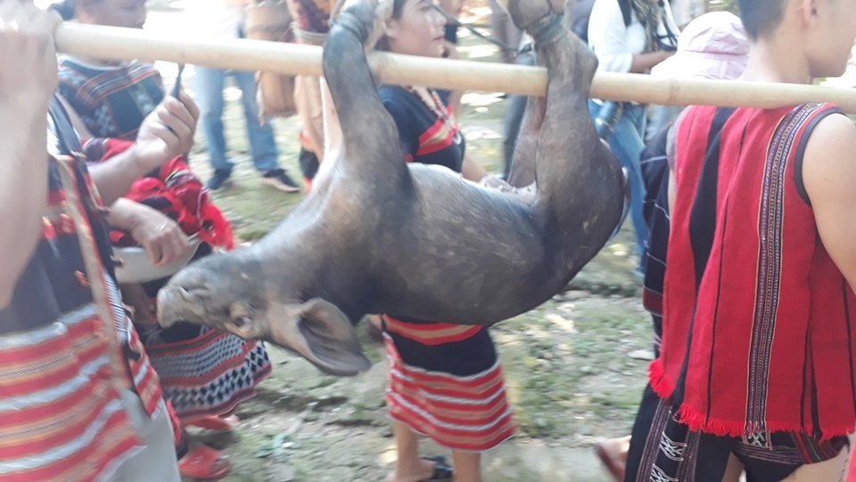 Tái hiện lại Lễ cưới của người dân tộc Pa Cô - Huế - 3 Tái hiện lại Lễ cưới của người dân tộc Pa Cô - Huế - 3