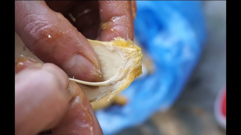 Dân Việt nhậu: Tôm hùm Trung Quốc nguy hại, bọ xít hôi khủng khiếp - 3 Dân Việt nhậu: Tôm hùm Trung Quốc nguy hại, bọ xít hôi khủng khiếp - 3