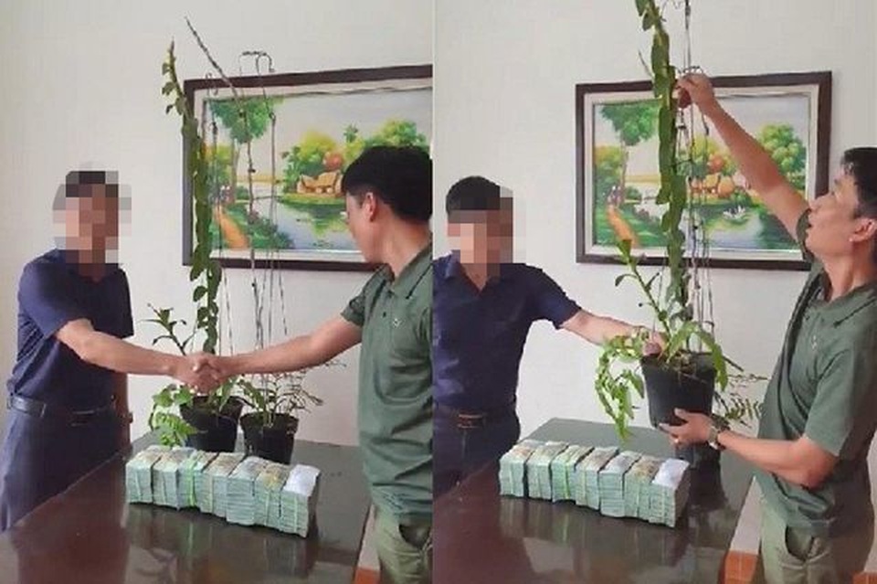 Dân Việt nhậu: Tôm hùm Trung Quốc nguy hại, bọ xít hôi khủng khiếp - 7 Dân Việt nhậu: Tôm hùm Trung Quốc nguy hại, bọ xít hôi khủng khiếp - 7