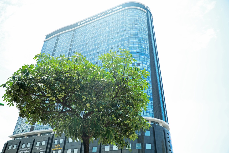Hương hoa sữa nồng nàn giữa mùa hè 40 độ, chuyên gia lý giải nguyên nhân - 3 Hương hoa sữa nồng nàn giữa mùa hè 40 độ, chuyên gia lý giải nguyên nhân - 3
