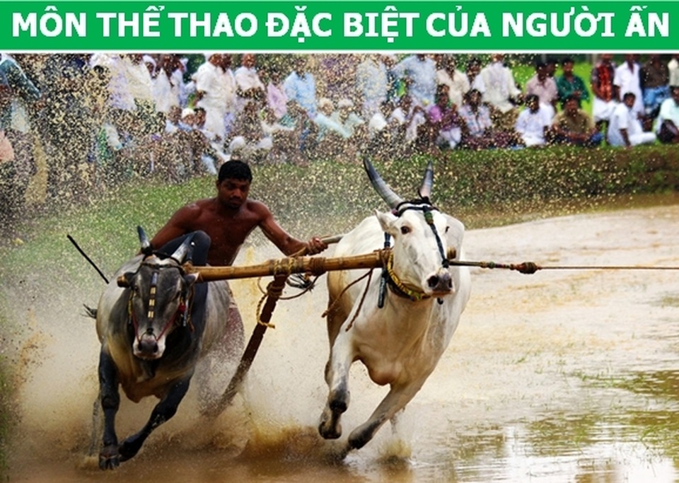 Những điều kỳ lạ ở Ấn Độ khiến du khách phải bất ngờ - 3 Những điều kỳ lạ ở Ấn Độ khiến du khách phải bất ngờ - 3