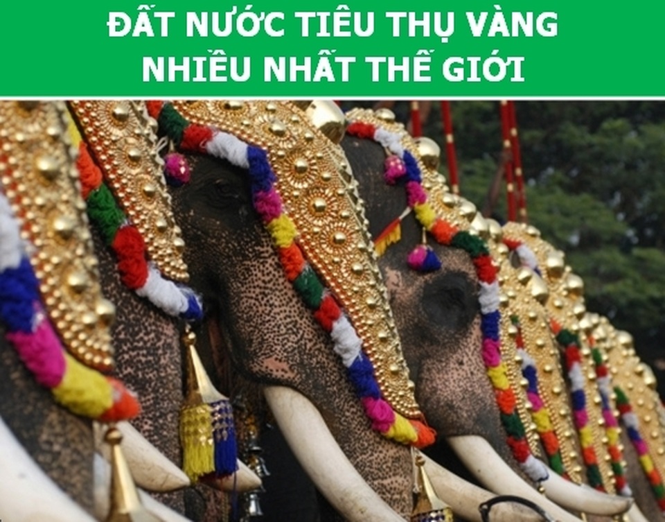 Những điều kỳ lạ ở Ấn Độ khiến du khách phải bất ngờ - 7 Những điều kỳ lạ ở Ấn Độ khiến du khách phải bất ngờ - 7