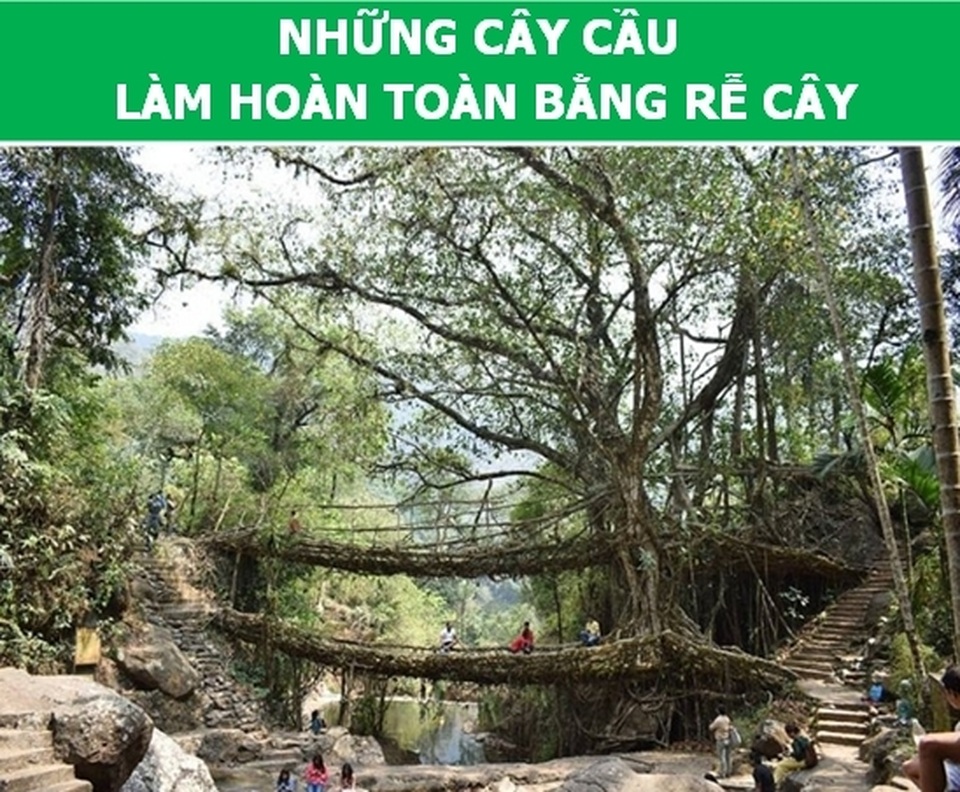 Những điều kỳ lạ ở Ấn Độ khiến du khách phải bất ngờ - 8 Những điều kỳ lạ ở Ấn Độ khiến du khách phải bất ngờ - 8