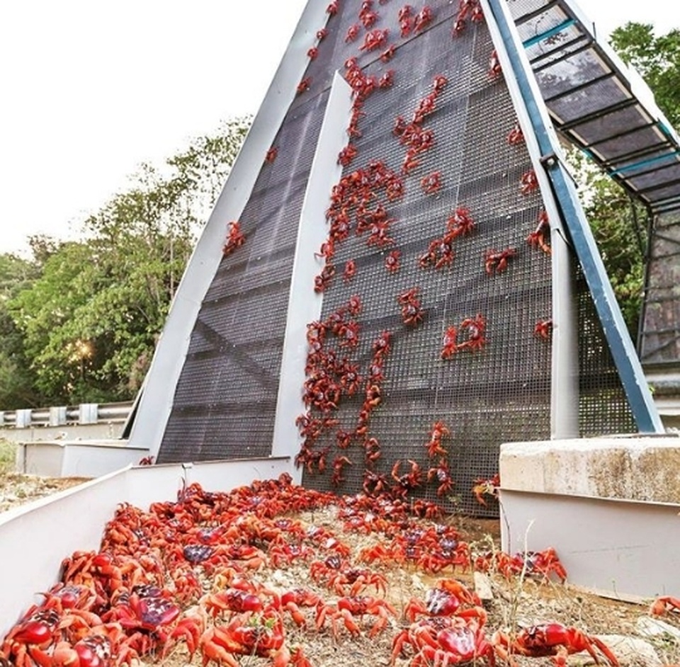 Bộ ảnh giúp “vén màn” những bí ẩn muôn thuở về thế giới! - 7 Bộ ảnh giúp “vén màn” những bí ẩn muôn thuở về thế giới! - 7
