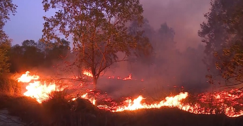 15ha rừng bị thiêu rụi sau 5 giờ hỏa hoạn - 1 15ha rừng bị thiêu rụi sau 5 giờ hỏa hoạn - 1