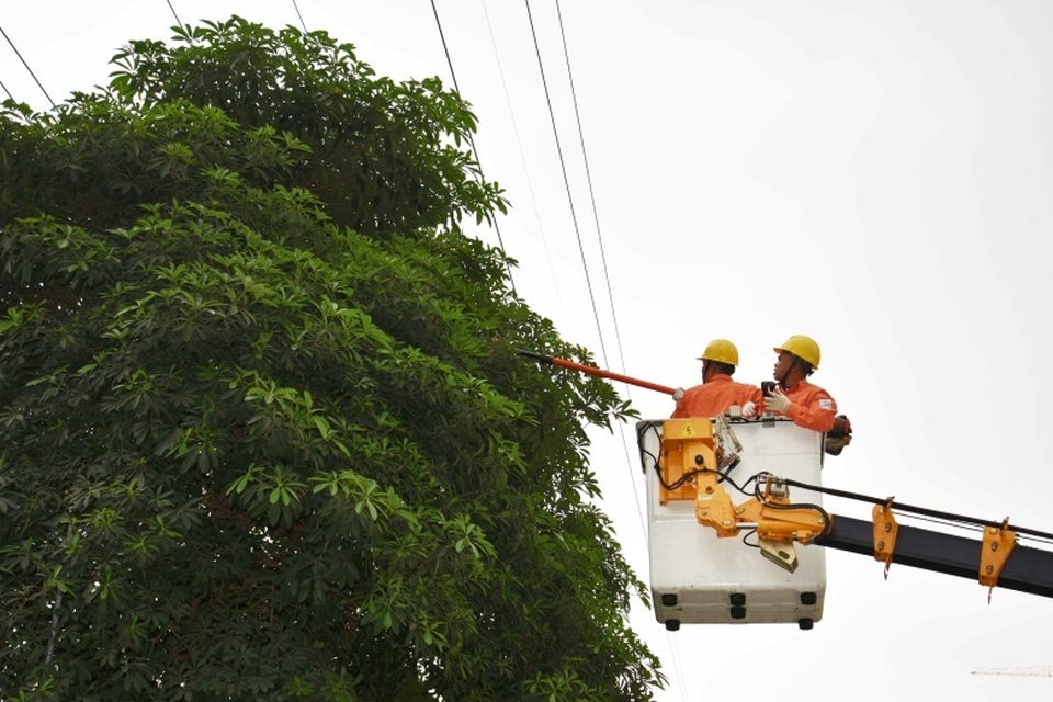 Những người ăn cơm dưới đất, làm việc trên trời - 2 Những người ăn cơm dưới đất, làm việc trên trời - 2