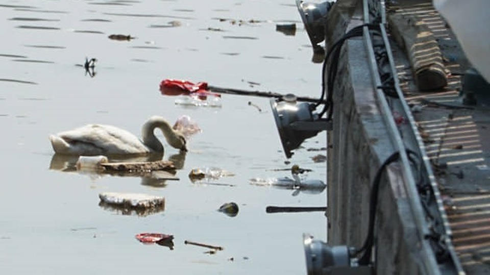 Thiên nga Hải Phòng ngất xỉu vì nắng nóng, được đưa lên Hà Nội cấp cứu - 3 Thiên nga Hải Phòng ngất xỉu vì nắng nóng, được đưa lên Hà Nội cấp cứu - 3