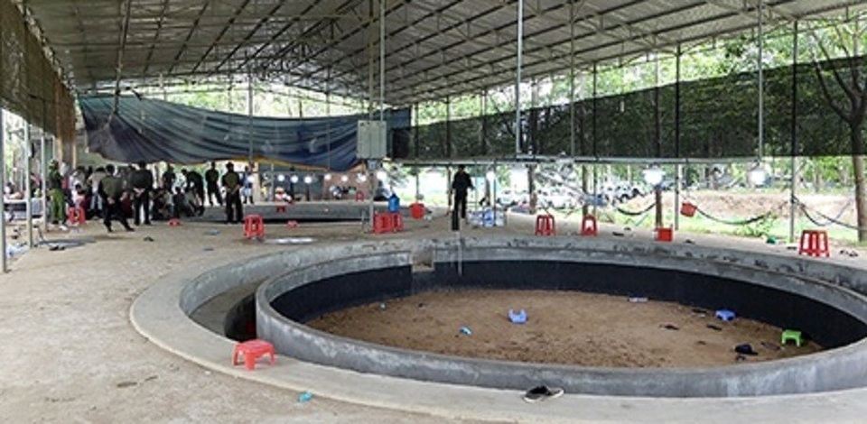 Đột kích trường gà lớn, phát hiện 100 người đang tham gia chơi - 1 Đột kích trường gà lớn, phát hiện 100 người đang tham gia chơi - 1