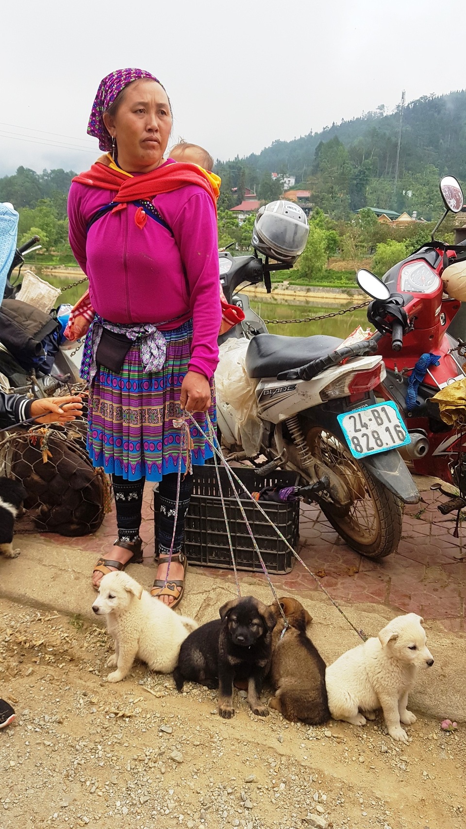 Những em bé đi chợ trên… lưng mẹ ở Bắc Hà! - 13 Những em bé đi chợ trên… lưng mẹ ở Bắc Hà! - 13