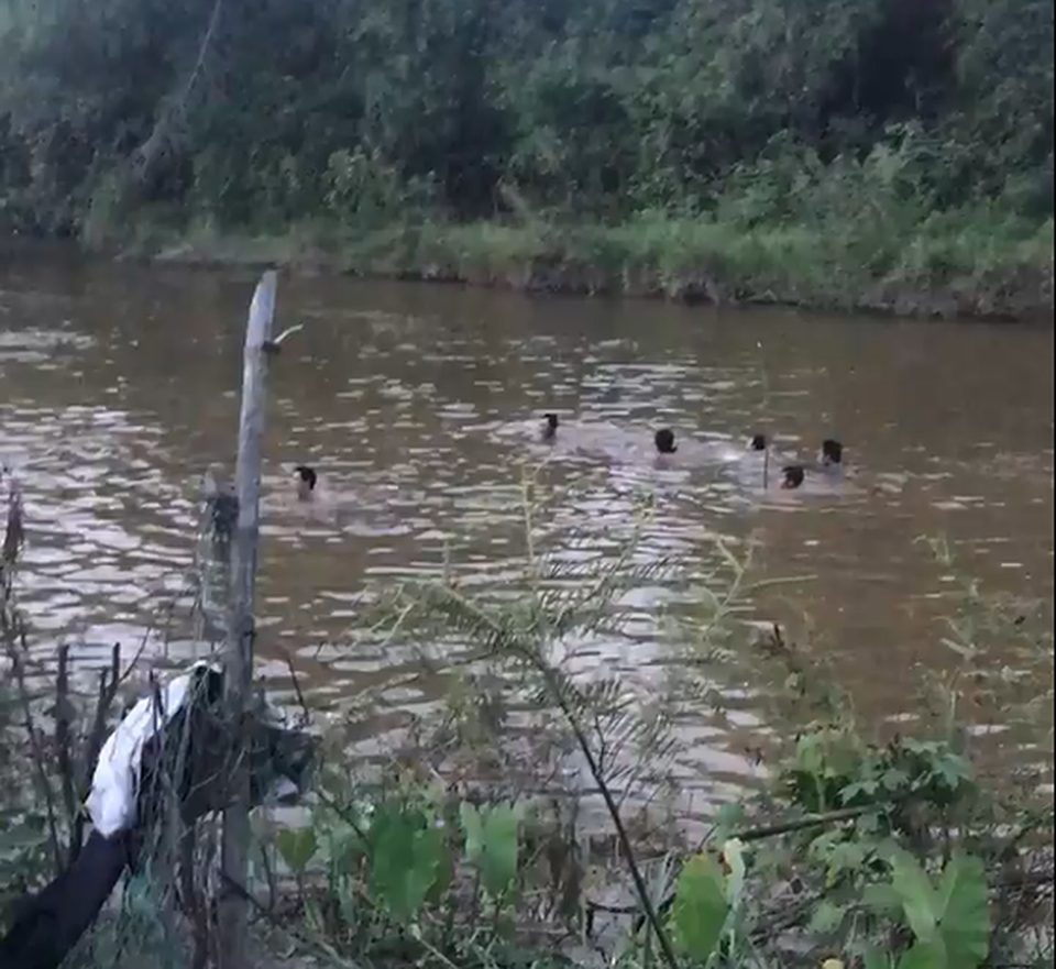 4 học sinh đuối nước thương tâm: Khánh Hòa nỗ lực dạy bơi cho học sinh - 1 4 học sinh đuối nước thương tâm: Khánh Hòa nỗ lực dạy bơi cho học sinh - 1