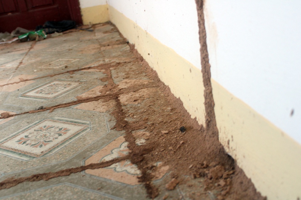 Xót xa trường học hơn 16 tỷ đồng chỉ làm nơi... phơi rơm, nuôi gà! - 5 Xót xa trường học hơn 16 tỷ đồng chỉ làm nơi... phơi rơm, nuôi gà! - 5