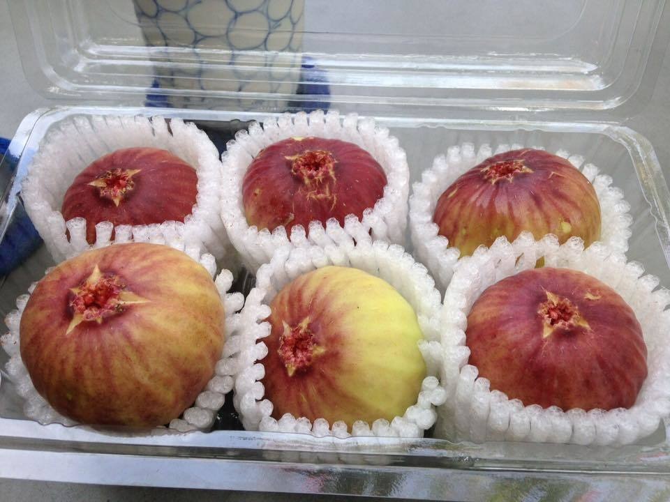 Sung Mỹ “khổng lồ” giá nửa triệu kg, chị em tranh nhau mua về ăn tráng miệng - 2 Sung Mỹ “khổng lồ” giá nửa triệu kg, chị em tranh nhau mua về ăn tráng miệng - 2