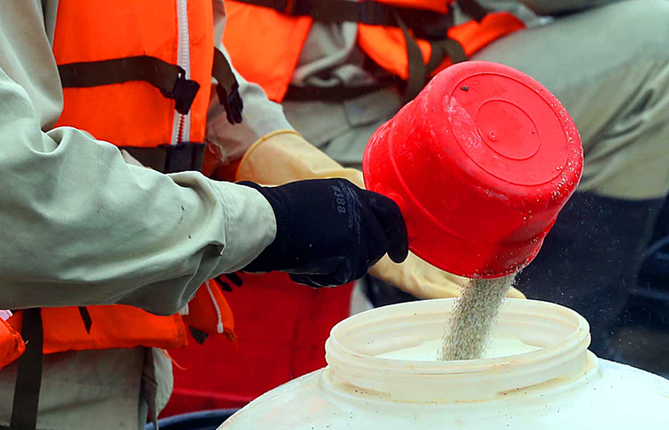 Người Hà Nội mong chờ gì ở công nghệ Đức làm sạch hồ Ba Mẫu? - 3