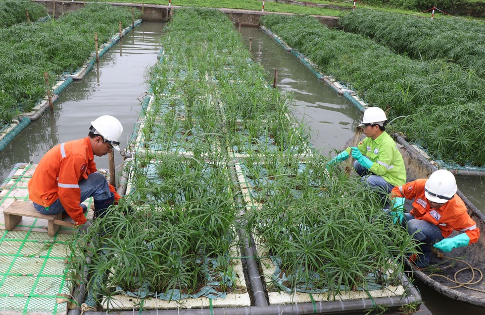 Hoàn nguyên môi trường: Tính chuyện đầu tư khôn ngoan - 2 Hoàn nguyên môi trường: Tính chuyện đầu tư khôn ngoan - 2