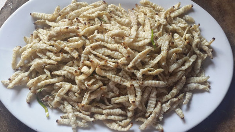 Sởn da gà nếm thử 5 đặc sản từ sâu béo núc ở Việt Nam - 8