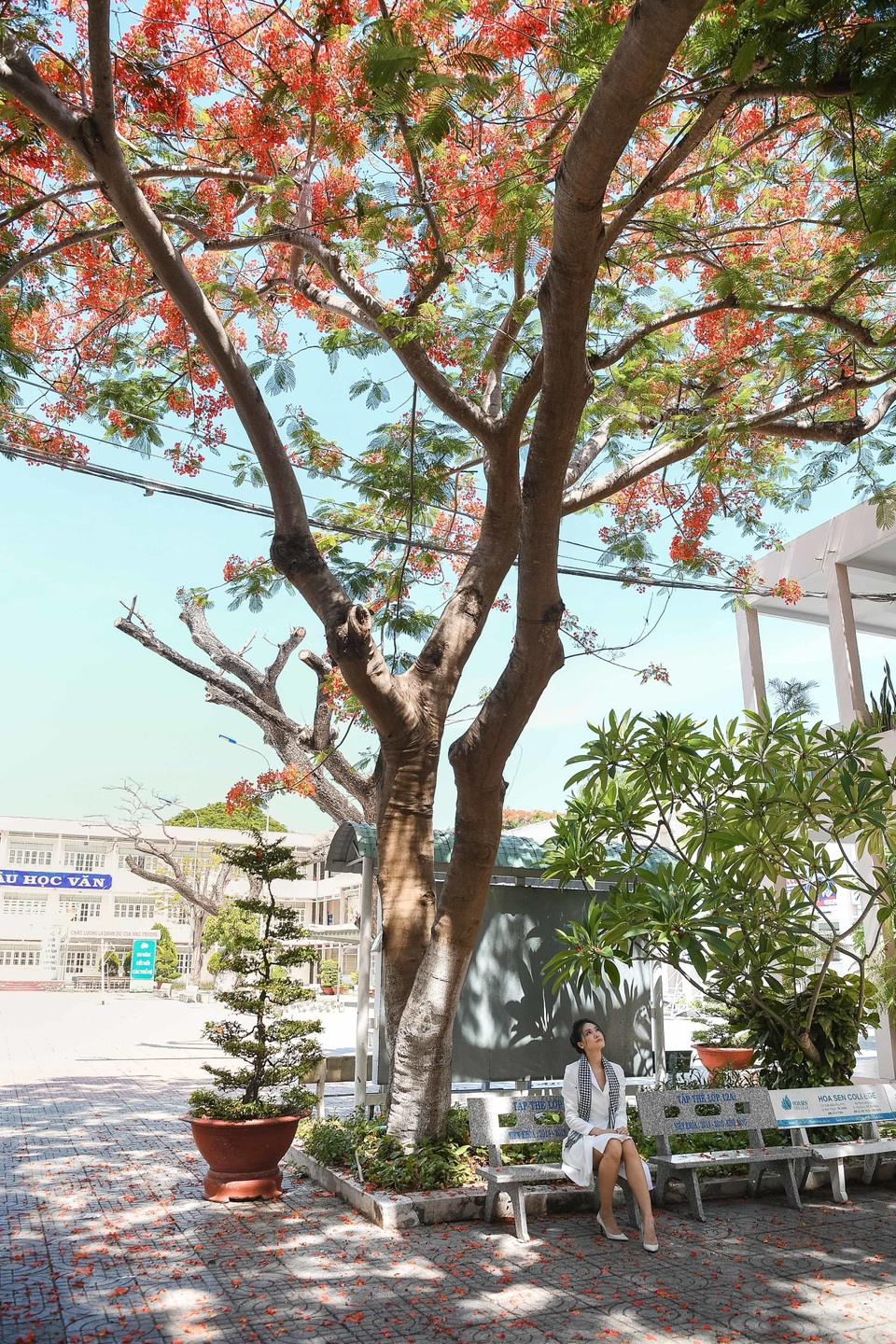 Hoa hậu Thùy Dung đọ dáng cùng Á hậu Thuỳ Dung trên sân trường rợp hoa phượng đỏ - 3 Hoa hậu Thùy Dung đọ dáng cùng Á hậu Thuỳ Dung trên sân trường rợp hoa phượng đỏ - 3